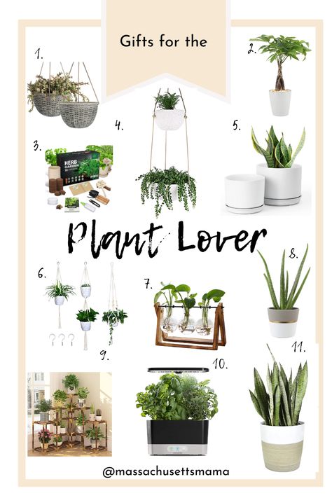 Low Light Plants Indoor, Pots Painting, Potting Ideas, Decor On Amazon, Pots Ideas, Indoor Planting, Plants Home Decor, Aesthetic Plants, Plants Aesthetic