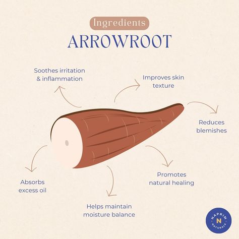 Searching for a natural remedy to soothe sensitive skin? Look no further than arrowroot. This gentle yet powerful ingredient is your ticket to calm, balanced skin. Arrowroot is known for its numerous benefits in skincare: ✨ Calms irritation and inflammation, which makes it perfect for sensitive skin. 🌸 Improves skin texture and can reduce blemishes for a smoother complexion. 💧 Absorbs excess oil while helping maintain moisture balance. 🌱 Supports natural healing, helping your skin bounce... Benefits Of Arrowroot Powder, Arrowroot Powder Benefits, Arrowroot Powder Uses, Arrowroot Powder, Witch Craft, Natural Remedy, Improve Skin Texture, Green Witch, Skin Texture