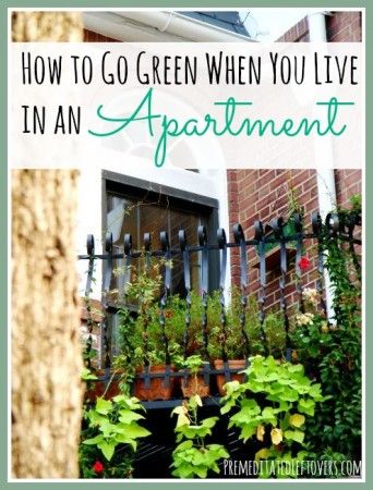 Think you can't go green because you don't have enough space for a garden? Think again! Eco Friendly Building, Eco Friendly Cleaning Products, Eco Friendly Baby, Green Tips, Eco Living, How To Go, Green Lifestyle, Eco Friendly Living, Eco Friendly House