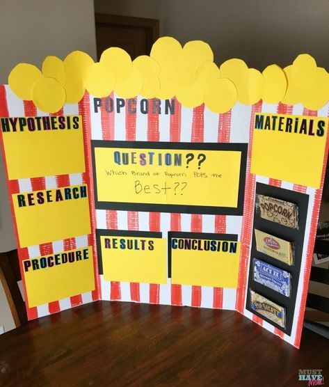 5 easy science fair projects that anyone can pull off! Popcorn science fair experiment with step by step directions too! These elementary science projects use a tri fold board. Popcorn Science Fair Project, Science Fair Projects For Elementary, Popcorn Science, Elementary Science Projects, Kids Science Fair Projects, Easy Science Fair Projects, Elementary Science Fair Projects, Science Fair Board, Science Fair Experiments