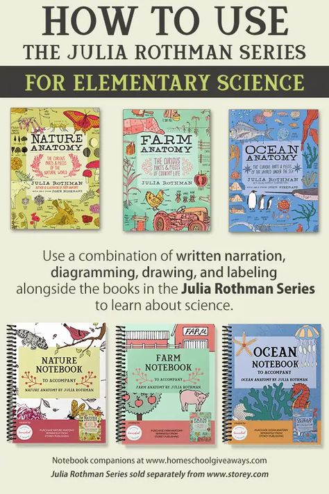 Julia Rothman Curriculum, Nature Homeschool, Julia Rothman, Homeschool Nature, Homeschool Nature Study, Homeschool Books, Nature School, Homeschool Education, Homeschool Inspiration