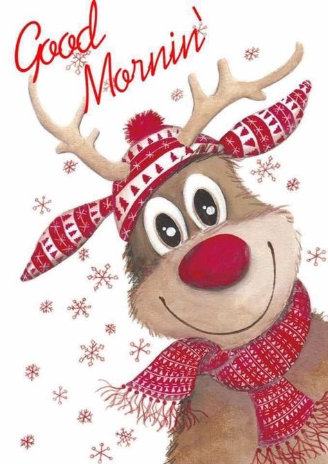 Diy Christmas Light Decorations, Reindeer Photo, Good Morning Christmas, Куклы American Girl, Cute Quotes For Him, Xmas Greetings, Cute Good Morning Quotes, Good Morning Funny, Cute Good Morning