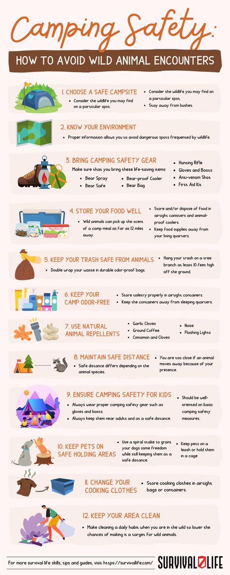 Arm yourself with these safety camping tips and enjoy a hazard-free time in the wild with your friends and family. #campingsafety #campingtips #camping #survivaltips #survivalskill #survivallife Survive In The Wild, Wild Camping Hacks, Camping Safety Tips, How To Survive In The Wild, How To Survive In The Wilderness, Survival Notebook, Travelling Van, Bear Safety Camping, Bear Safety