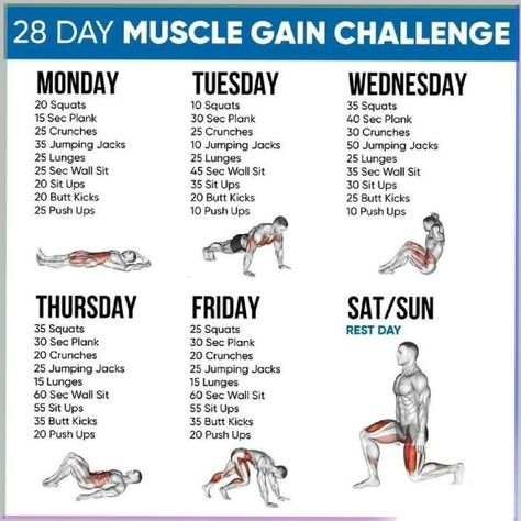 Fast Muscle Building Workout, Bulking Routine Build Muscle, Exercise Gain Weight Build Muscle, At Home Workouts To Gain Muscle, Exercise For Gaining Muscles, Workout For Gaining Muscle, Workouts To Help Gain Muscle, Workouts Gain Muscle, How To Gain Weight And Build Muscle