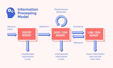 What is Information Processing Theory? | LearnUpon Information Processing Theory, Social Cognitive Theory, Adult Learning Theory, Memory Strategies, Psychology Notes, Psychology Studies, Psychology Major, Information Processing, Educational Psychology