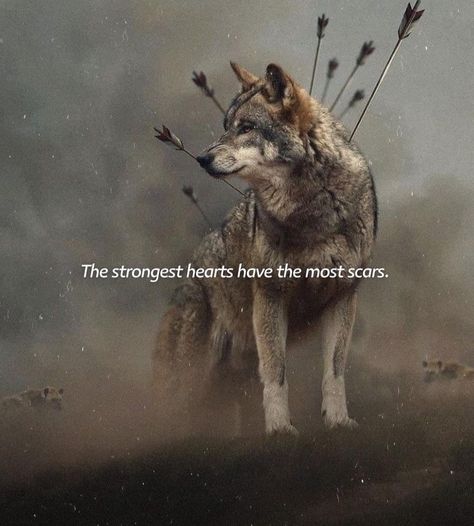 Lone Wolf Quotes Warriors, Lone Wolf Quotes, Animal Spirit Guides, Wolf Quotes, Wolf Spirit Animal, Man Up Quotes, Look Up Quotes, Self Inspirational Quotes, Magical Life