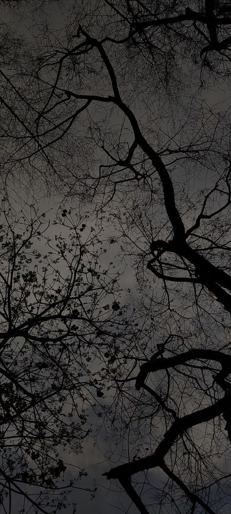 Dark Aesthetic Wallpaper Iphone Tumblr, Dark Aesthetic Nature Wallpaper Iphone, Gothic Moon Wallpaper, Plain Dark Wallpaper, Dark Forest Wallpaper Iphone, Creepy Wallpaper Iphone, Basic Wallpapers Iphone, Soft Goth Wallpaper, Dark Autumn Aesthetic Wallpaper