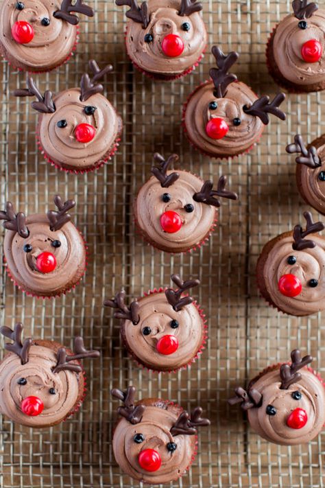 Easy Reindeer Cupcakes | Christmas dessert recipes | holiday dessert recipes | fun cupcake recipes || JennyCookies.com #reindeer #cupcakes #christmas #holidaydesserts #jennycookies Easy Christmas Cupcakes, Cupcakes Christmas, Christmas Cupcakes Recipes, Reindeer Cupcakes, Christmas Cupcakes Decoration, Jenny Cookies, Delicious Christmas Desserts, Best Christmas Desserts, Easy Christmas Treats