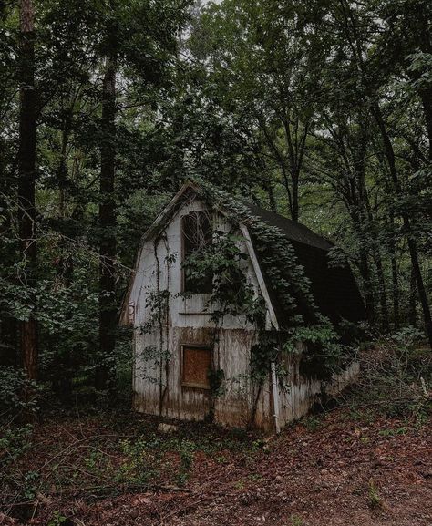 Abandoned Overgrown Places, Shed Aesthetic, Overgrown House, Overgrown Cottage, Overgrown Forest Aesthetic, Overgrown Building Aesthetic, Abandoned Shack In The Woods, Small Abandoned Houses In The Woods, Abandoned Building In Forest