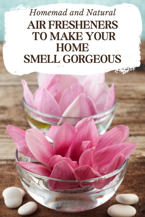 Unlock the secrets to a fresh, fragrant home with our DIY natural air fresheners guide! Learn to create eco-friendly, non-toxic scents using everyday household items, and transform your living space into an inviting oasis. Go green and breathe easy with these simple, cost-effective ideas. 🏡✨🌱 #DIYAirFresheners #EcoFriendly #NaturalScents #FreshHome Diy Air Freshener Refill, Air Freshener Recipes, Natural Room Spray, Natural Room, Air Freshener Refill, Smelling Good, Natural Air Freshener, Diy Air Freshener, Home Smell