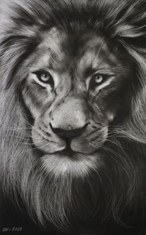 Pencil drawing for beginners Sketching Of Animals, Hyper Realistic Charcoal Drawings, Charcoal Portrait Sketches, Charcoal Art Animals, Coal Drawing Easy, Charcoal Art Sketches, Charcoal Sketches Realistic, Charcoal Art For Beginners, Charcoal Portrait Realistic