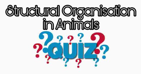 Play Structural Organisation in Animals Quiz live on our website for your Neet exam preparation. Biology class 11 Important questions MCQ. Biology Class 11, Neet Biology, Animal Quiz, Quiz Names, Play Quiz, Neet Exam, Class 11, Previous Year Question Paper, Quiz Me