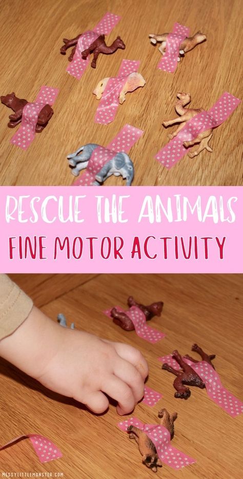 Pets Gross Motor Activities, Free The Animals Fine Motor, Fine Motor For One Year Olds, Animal Fine Motor Activities Preschool, Amazing Animals Toddler Activities, Fine Moter Skills Activities For Toddlers, Farm Theme Crafts For Infants, Forest Animal Toddler Activities, Wild Animals Sensory Activities