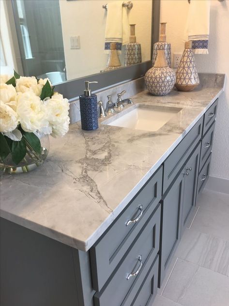 Master bathroom cabinet color with Grey Goose Quartzite countertops Bathroom Cabinet Colors, Bathroom Diy Ideas, Home Decor Items Online, Bathroom Vanity Designs, Grey Goose, Cabinet Color, Bathroom Diy, Quartz Countertop, Master Bath Remodel