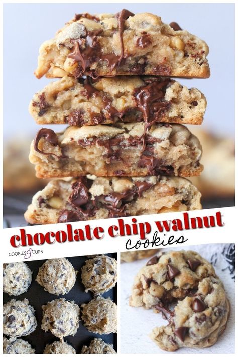 These Chocolate Chip Walnut Cookies are thick, soft, loaded with chocolate and walnuts. I am sharing the EASY trick on how to make the thickest chocolate chip cookies ever! #cookiesandcups #cookies #cookierecipe #levaincopycat #chocolatechipwalnut #walnuts #thickcookies Chocolate Chip Cookies With Nuts Recipes, Chocolate Nut Cookies, Walnut Chocolate Chip Cookies, Cookies With Walnuts, Walnut Cookie Recipes, Chocolate Chip Walnut Cookies, Levain Bakery, Walnut Recipes, Walnut Cookies