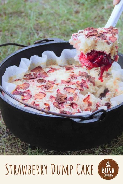 Campfire Dutch Oven Recipes, Dutch Oven Desserts, Strawberry Dump Cake, Campfire Cake, Dutch Oven Camping Recipes, Campfire Desserts, Dutch Oven Camping, Camping Desserts, Dump Cakes