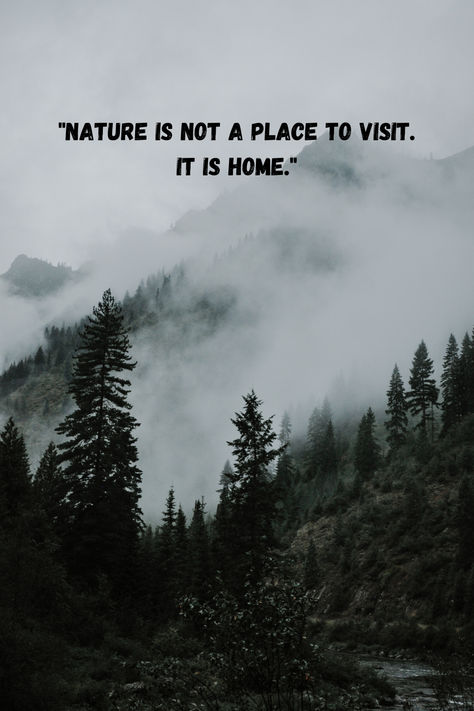 A serene landscape featuring mist-covered mountains and lush pine trees with an inspirational quote, “Nature is not a place to visit. It is home.” Embrace Quotes, Home In Nature, Wilderness Quotes, Nature Escape, Misty Mountains, Camping Quotes, Place To Visit, Nature Backgrounds, Nature Quotes