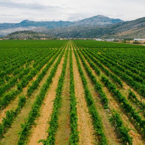 Farmlands Sale in Turkey Loss Of Biodiversity, Agriculture Land, Soil Erosion, Carbon Sequestration, Investment Company, Environmental Degradation, Habitat Destruction, Agricultural Land, Nature Art Prints