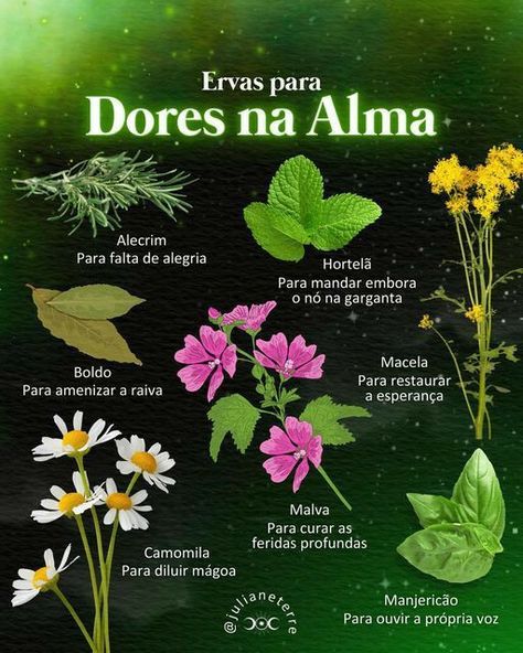 Magia Das Ervas, Wiccan Symbols, Vertical Herb Garden, Magic Herbs, Skin Care Spa, Witch Books, Wiccan Spells, Practical Magic, Marjoram