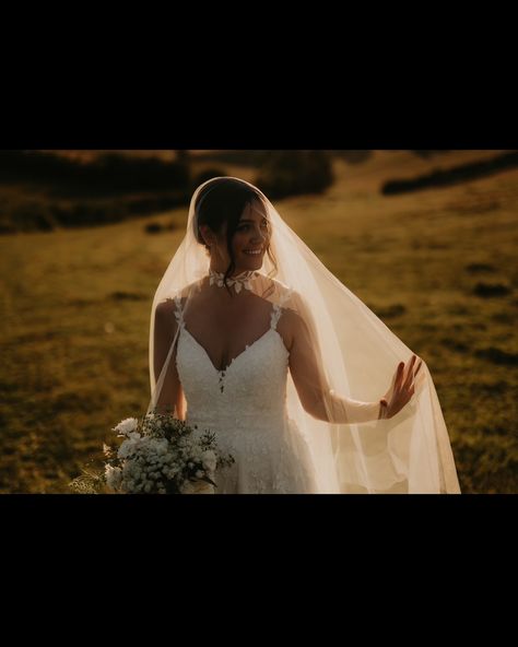 REAL BRIDE PHOTOS 📸 Featuring our beautiful and ever-popular Caitlyn veil. Demi and Parris both look amazing in the golden sun. Photos by @markhortonphotos 👏👏👏 #veil #weddingveil #bridalveil #realbride #dropveil #weddingphotos #goldenhour Sun Photos, Veil Ideas, Cathedral Bridal Veils, Drop Veil, Bride Photos, Bridal Veils, Golden Sun, Lace Veils, Bride Photo