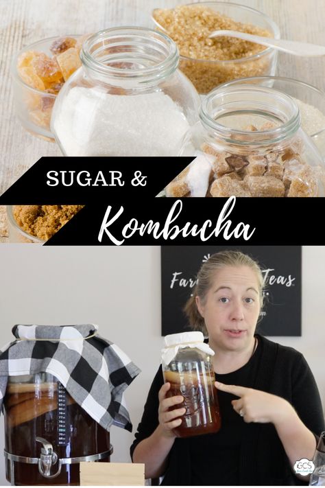 Benefits Of Kombucha, Diy Kombucha, Make Kombucha, How To Control Sugar, Kombucha Benefits, Kombucha Flavors, Homemade Kombucha, Kombucha Recipe, How Much Sugar