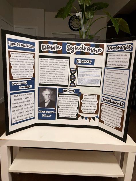 Science Projects Aesthetic, School Trifold Board Ideas, Trifold Poster Board Ideas Science, Trifold Ideas Projects, Project Trifold Board Ideas, School Posters Ideas Project, Science Trifold Board Ideas, Science Poster Board Ideas, Poster Board Projects Aesthetic