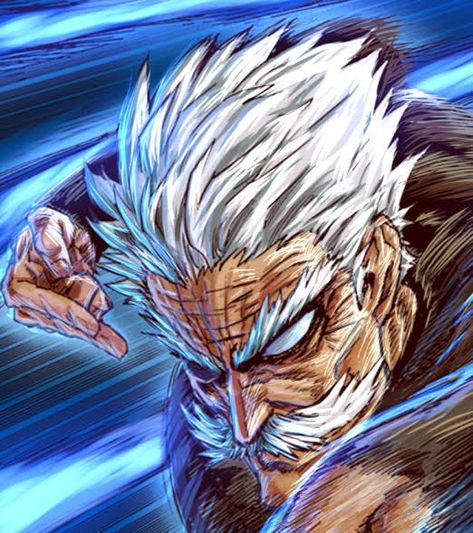 One punch man Bang One Punch Man, Silver Fang, Punch Man, One Punch, One Punch Man, Bangs, Zelda Characters, Anime, Silver