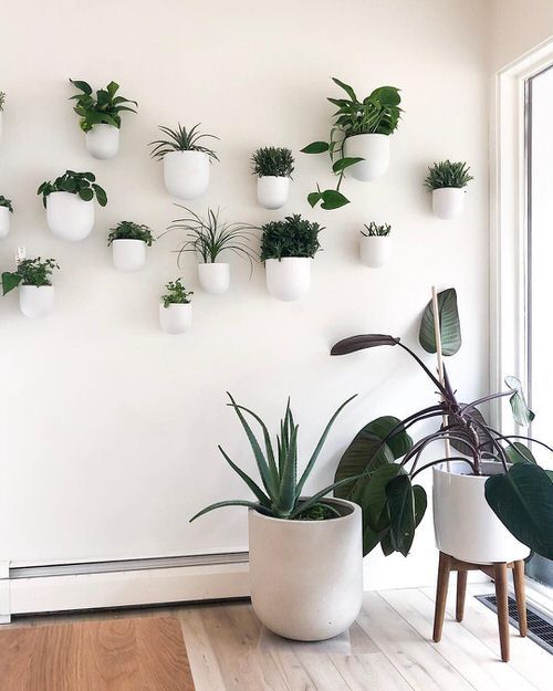 28 Plant Wall Art Ideas for Home Décor | Plant wall decor, Indoor ...