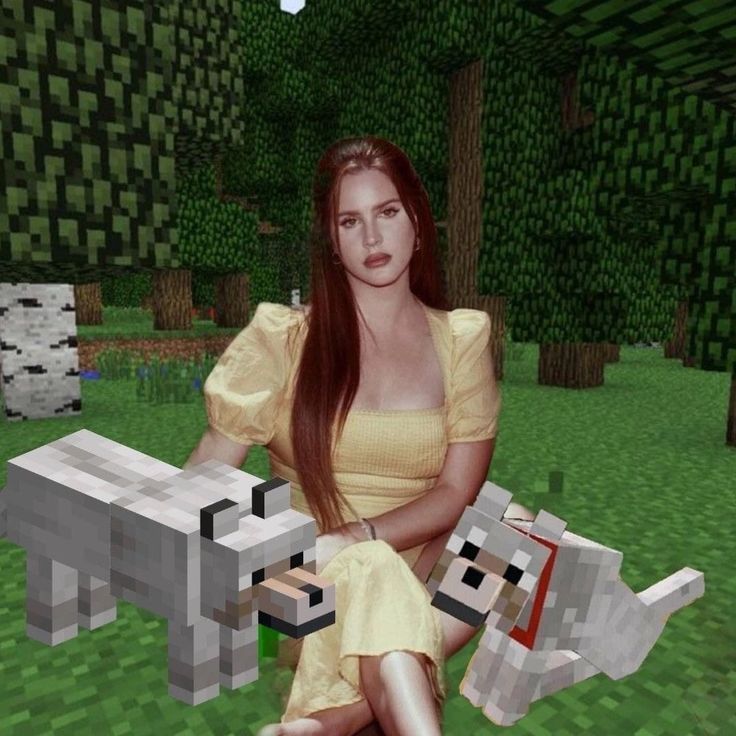 lana del rey Lana Del Rey, Minecraft, A Woman