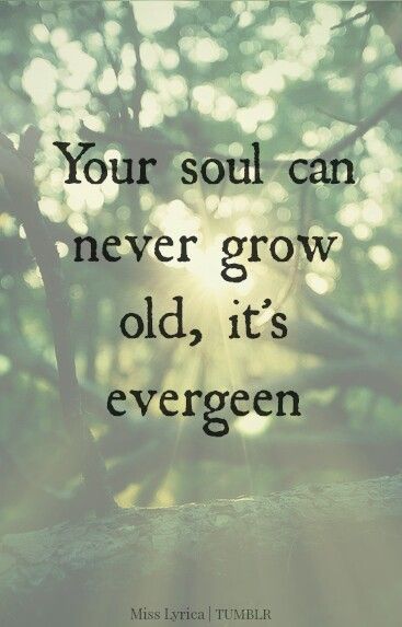 an image with the quote your soul can never grow old, it's evergreen