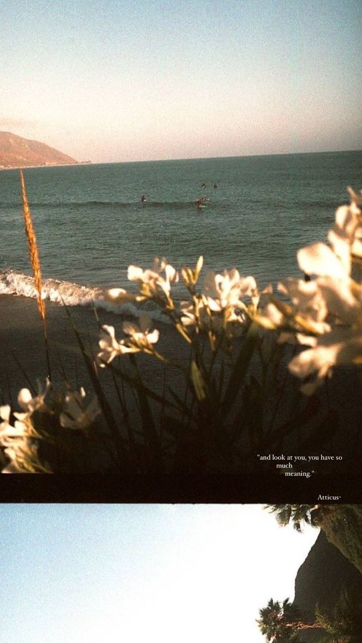 two pictures of the ocean with people in the water and flowers on the beach below