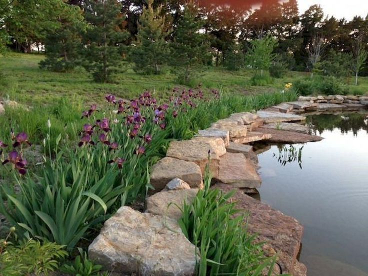 there is a rock wall next to the water and purple flowers in the foreground