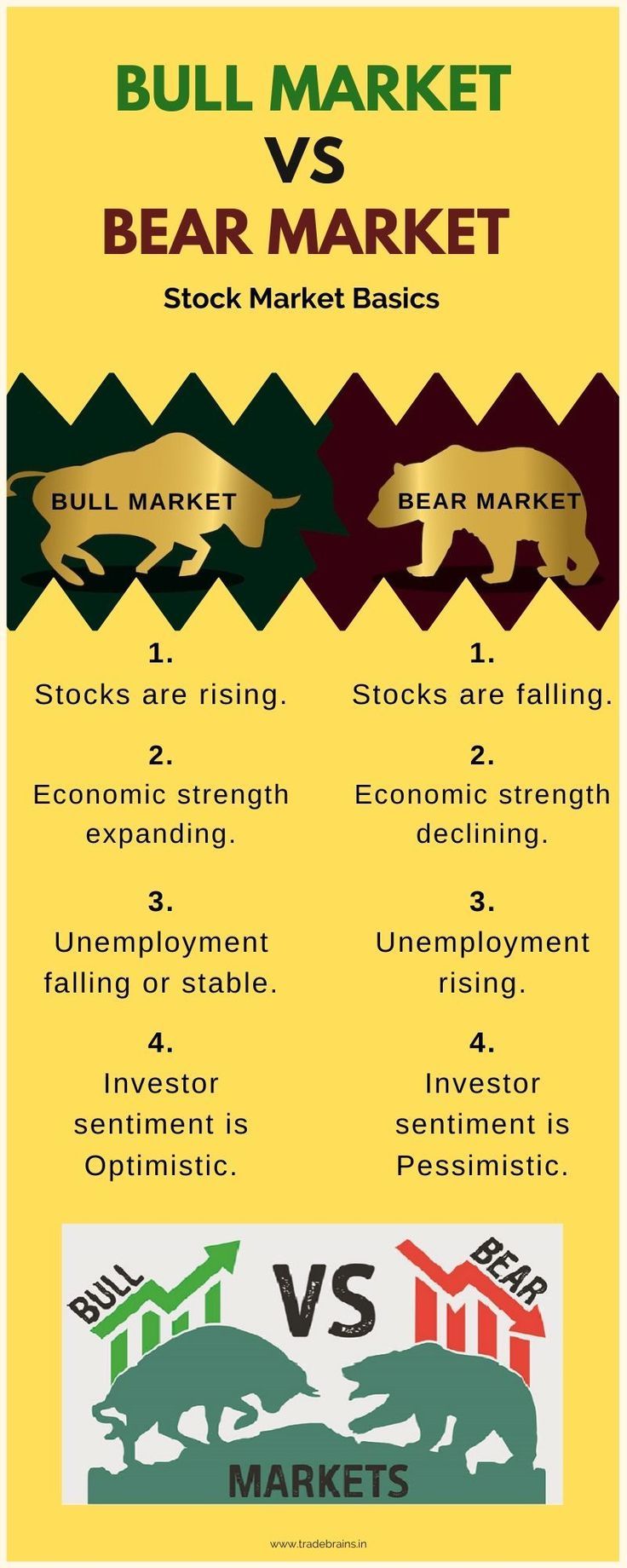 the bull market versus bear market and stock market basics infographical poster with text