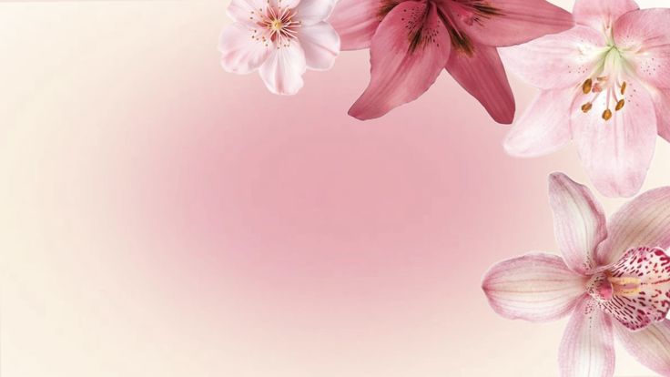 pink and white flowers on a light pink background