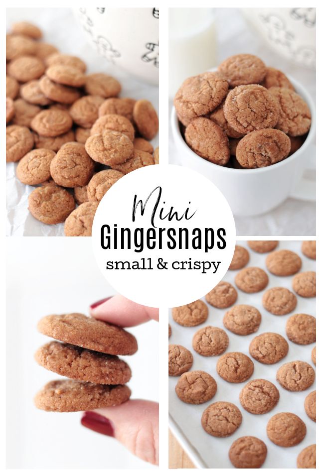 ginger snaps are the perfect snack for small and large groups of people to enjoy with