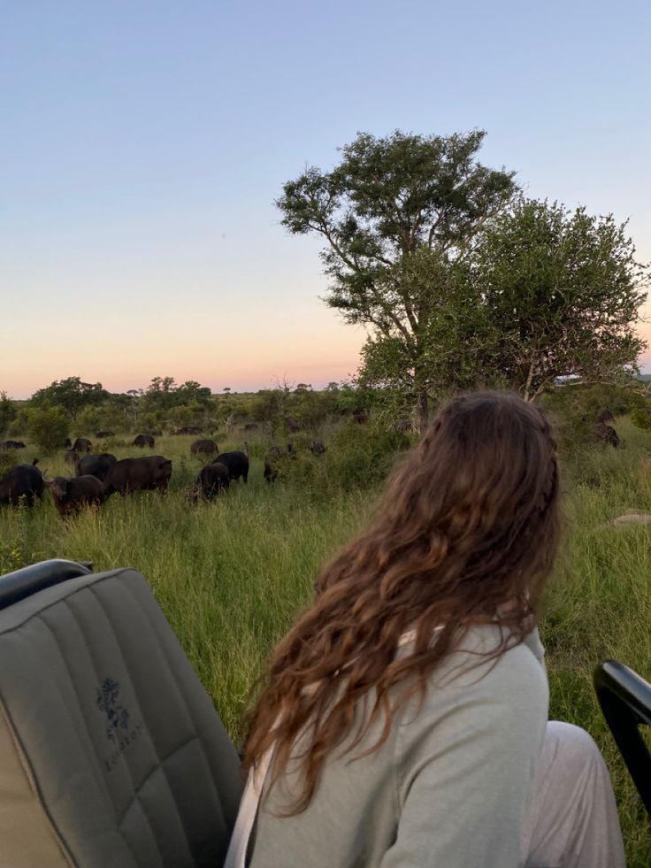 a woman sitting in a chair looking at some cows grazing on the grass and trees