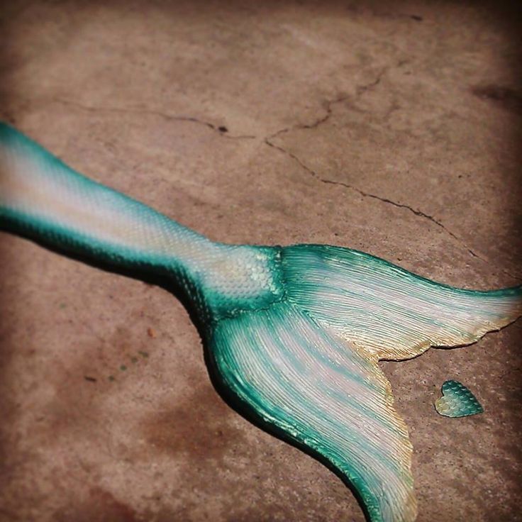 a blue and white mermaid tail laying on top of a cement floor next to a toothbrush