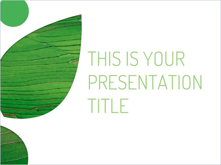 a green leaf with white background is featured in this powerpoint presentation title slide template