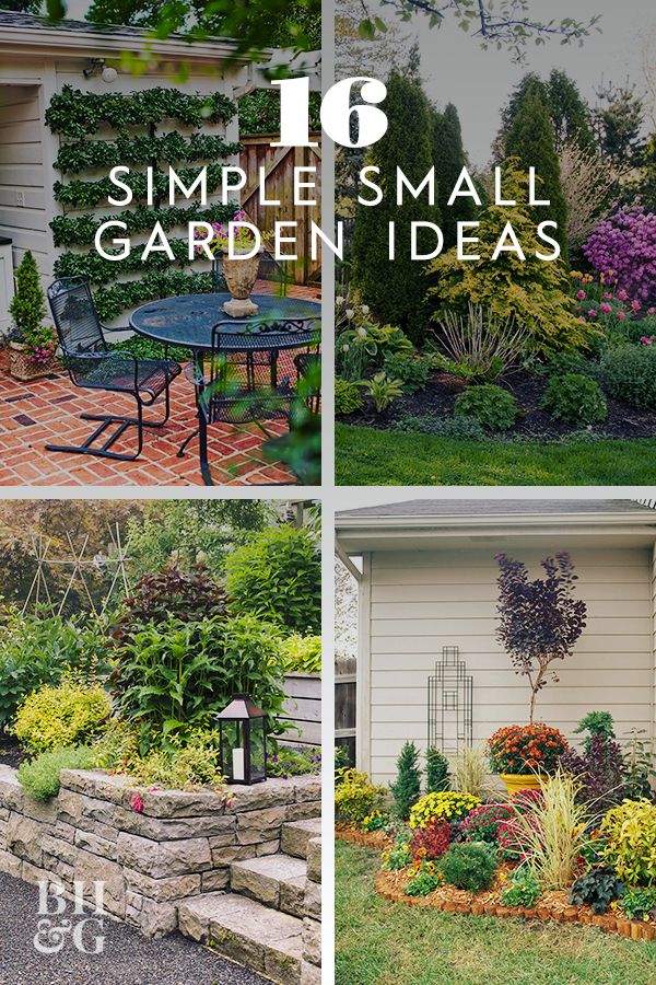 four pictures of small garden ideas with text overlay