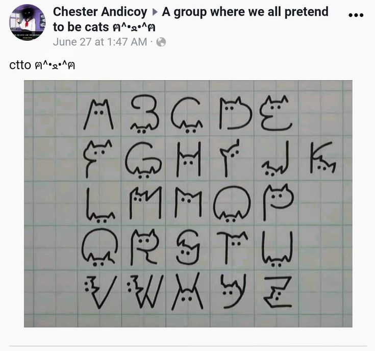 a screen shot of the font and numbers used to spell out cat names in english