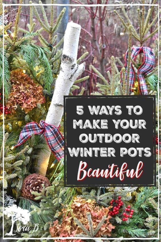 a christmas tree with the words 5 ways to make your outdoor winter pots beautiful on it