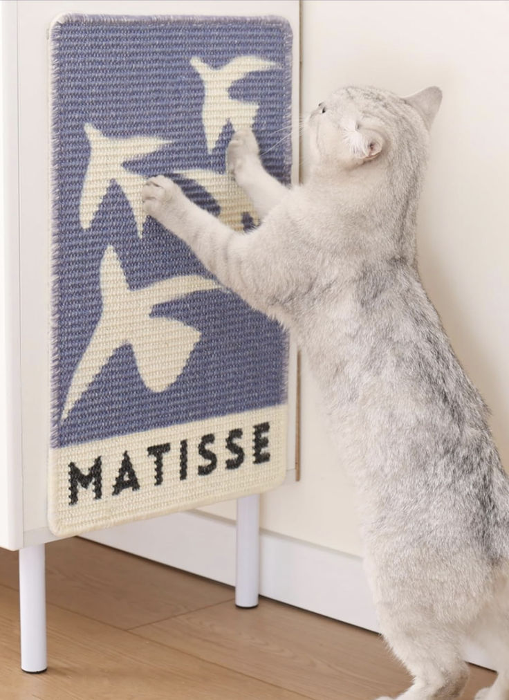 the cat is trying to climb on the mat with his paws and paw up against the wall