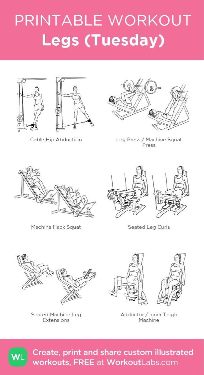 the printable workout guide for adults and children with instructions on how to use it