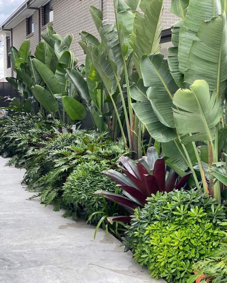 a row of green plants next to a brick building