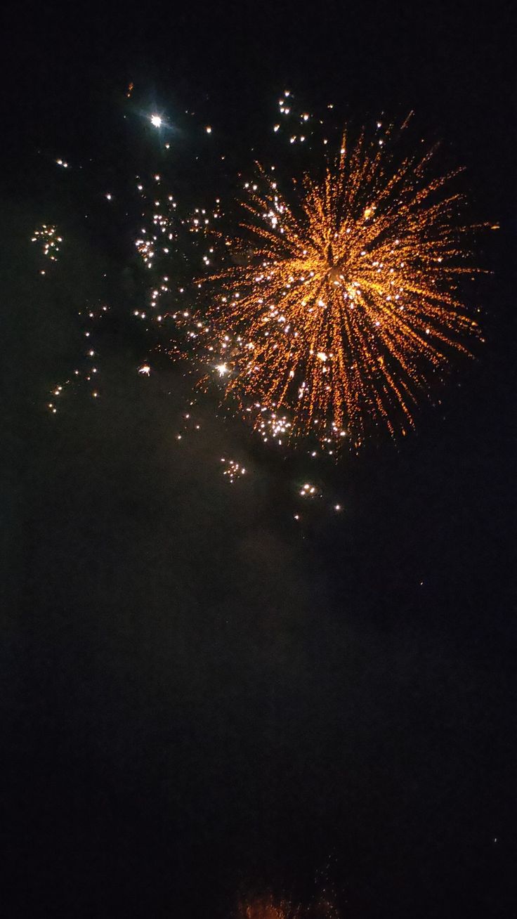 fireworks are lit up in the night sky