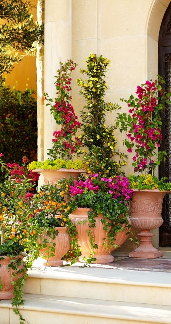 some very pretty flowers in large planters on the steps