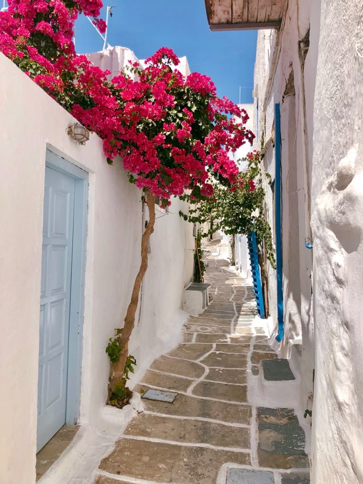 an alley way with pink flowers growing on it