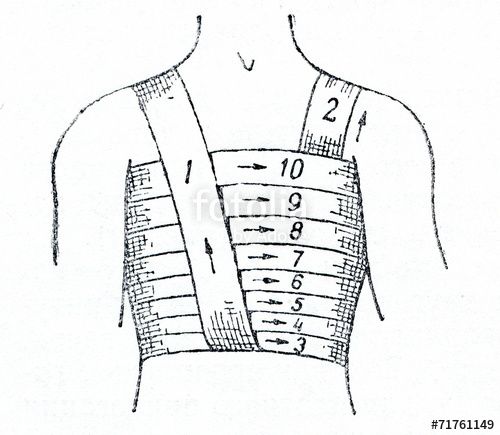 the back view of a woman's torso with measurements