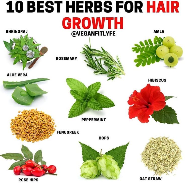 Herbs for Hair Growth👇🔥💚 . Tag someone who needs to see this🙏 . What is your favorite hair growth herb on the list? Comment below? . There… Herbs Hair Growth, Herbs That Help Hair Growth, Herb For Hair Growth, Hair Herbs, Teas For Hair Growth, Herbs Good For Hair Growth, Hair Growth Herbs, Indian Herbs For Hair Growth, Scalp Care For Hair Growth