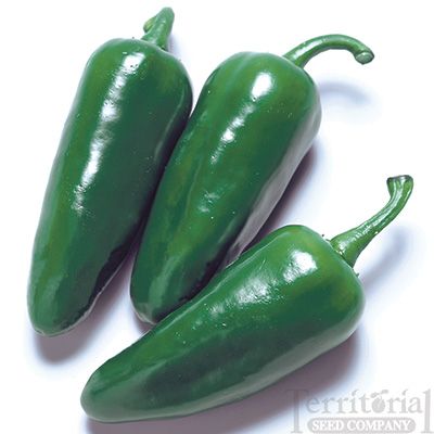 three green peppers sitting next to each other